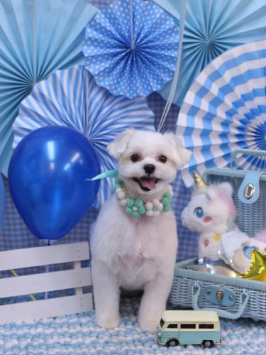 20231118まるちゃん